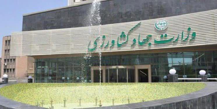 دبیر ستاد امنیت غذایی وزارت جهاد کشاورزی گفت: روغن خوراکی به اندازه کافی در انبارها موجود است و به زودی شاهد آرامش در بازار روغن خواهیم بود.