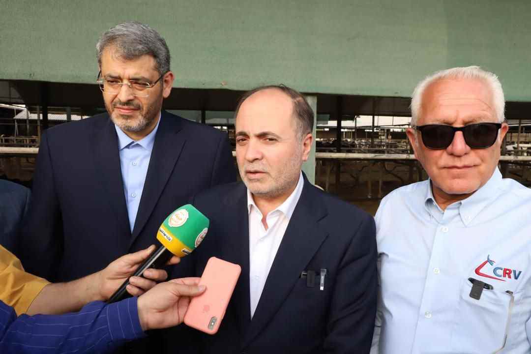 صنعت دامداری ایران در میان پنج کشور برتر دنیا قرار دارد