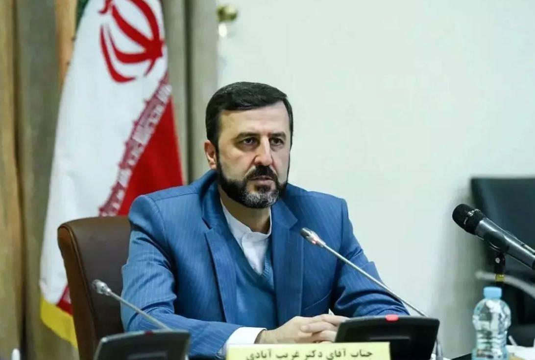 غریب آبادی: گزارش آژانس با هدف استفاده سیاسی برخی کشورها تهیه شده است