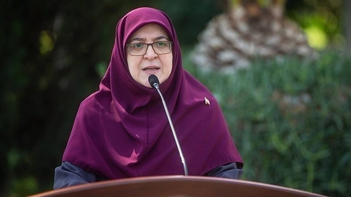 مهاجرانی: دولت اتباع غیرمجاز را به کشورشان برمی گرداند