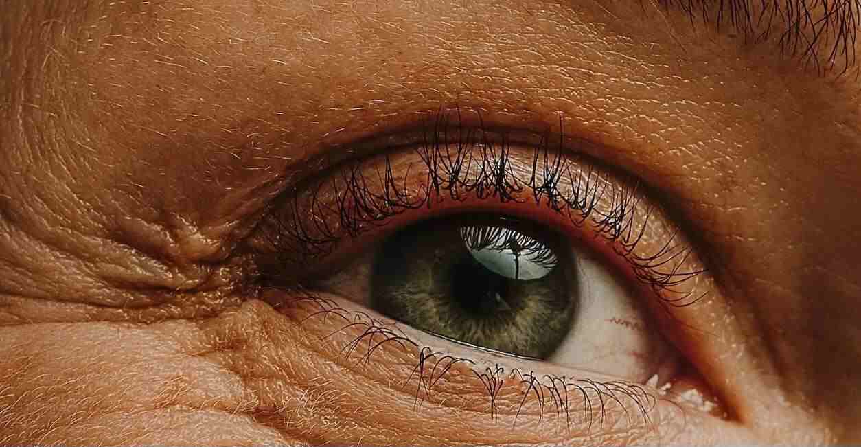 دانشمندان آمریکایی شاید با روشی جدید پیری چشم را معکوس کنند 