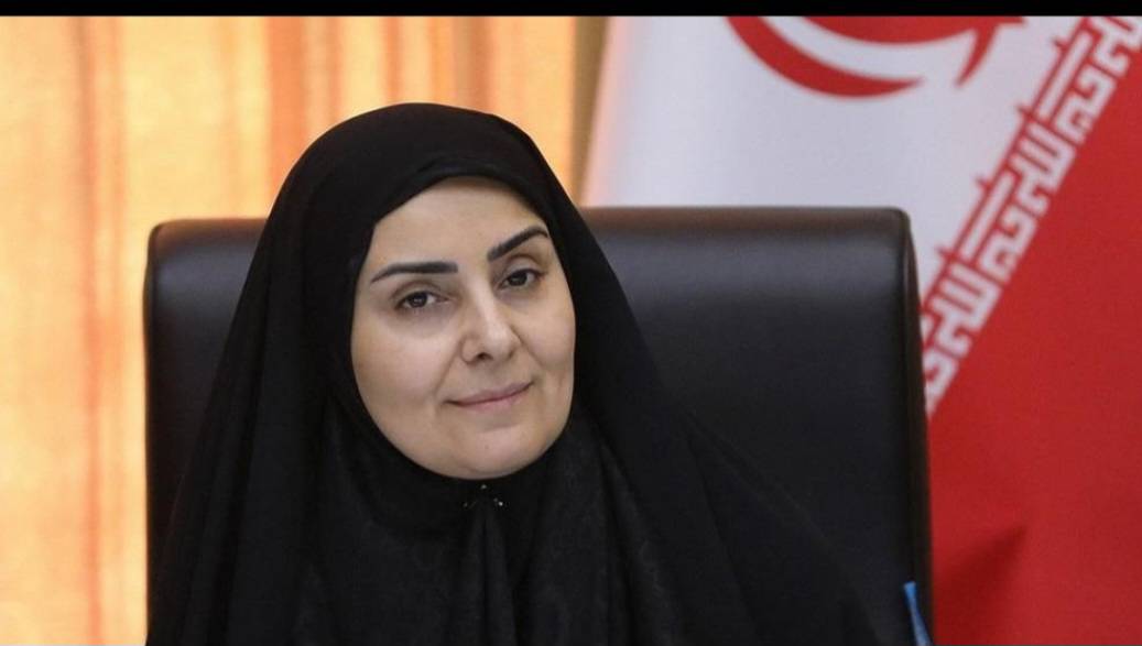 دکتر فرزانه صادق : تهیه و بازبینی ضوابط و مقررات شهرسازی و معماری برای افراد کم‌توان حرکتی