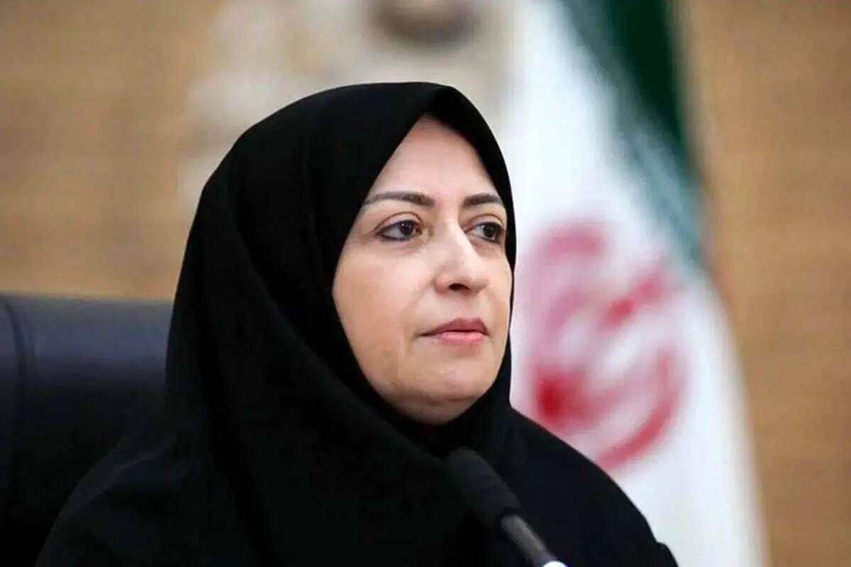 درخت‌داری» مهم‌تر از «درختکاری»