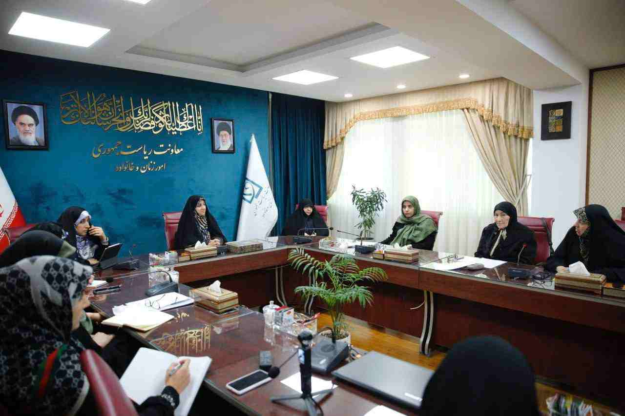 حمایت معاون رئیس‌جمهور از سازمان‌های مردم نهاد در عرصه بین‌المللی و داخلی
