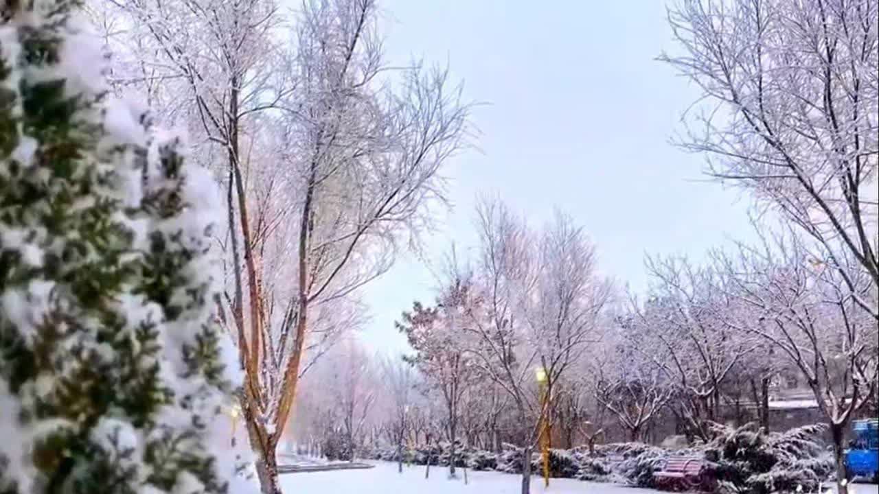 پیش‌بینی بارش برف و باران با ورود سامانه بارشی جدید