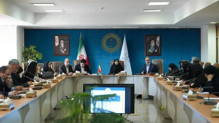 اولین جلسه کارگروه خانواده، جمعیت و زنان شورای اجتماعی کشور برگزار شد