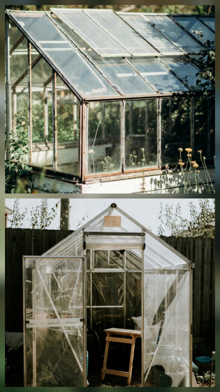 گلخانه‌های ۱۰۰ متری؛ موتور محرک اقتصاد روستایی در همدان و مرکزی