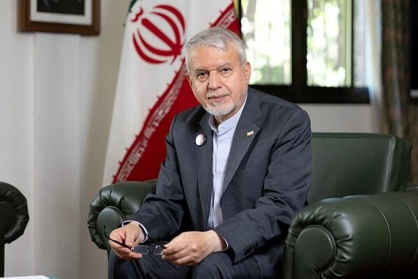 صالحی امیری: آینده بریکس درخشان است
